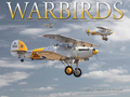 Tidemark War Birds of WWII 2023 Calendar